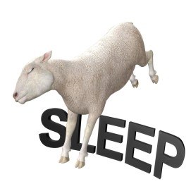 insomnia_sheep